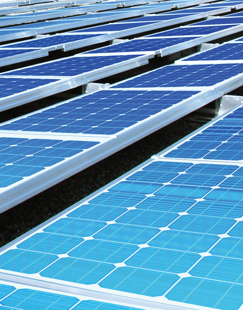 Solar Screen Test | Fortnightly