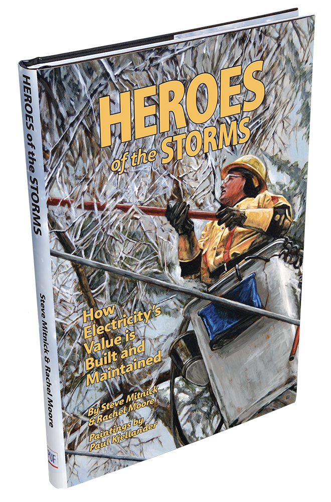 Heroes of the Storms book