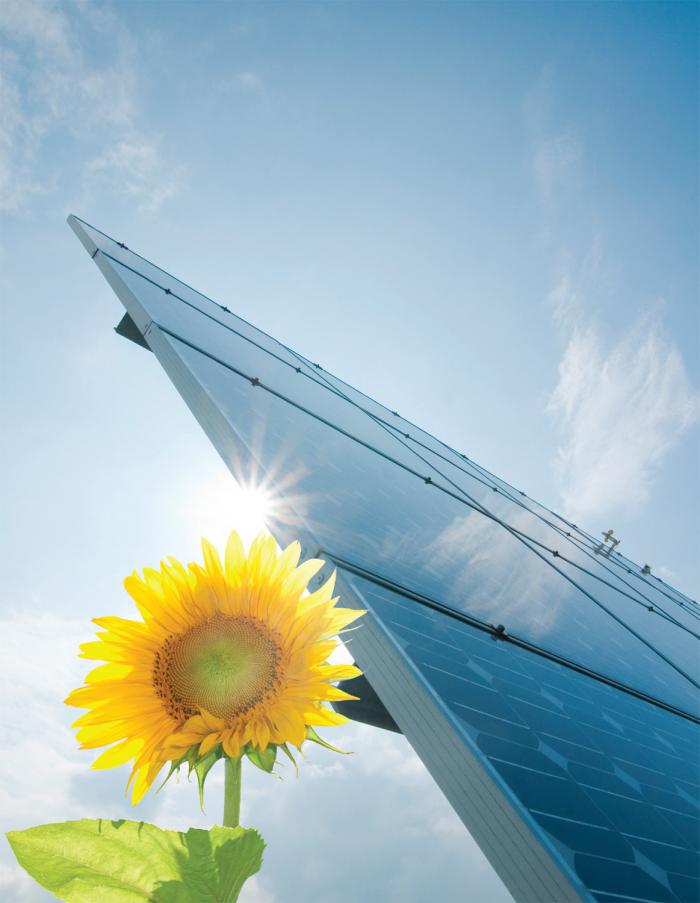 Solar Tech Outlook Fortnightly